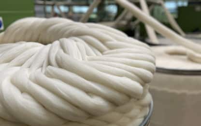 Il tessile sostenibile: alla scoperta del "distretto della lana"