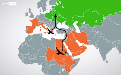 Guerra in Ucraina, le aquile cambiano rotta per evitare il conflitto