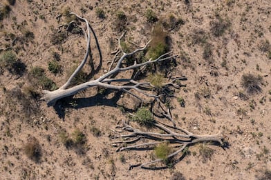 Wwf: “La Terra è malata, dal 2015 superati 6 dei 9 limiti”