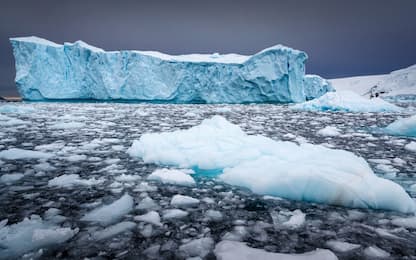 Groenlandia, scoperti virus giganti nel ghiaccio: lo studio