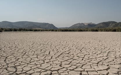 Giornata mondiale per la lotta alla desertificazione e alla siccità