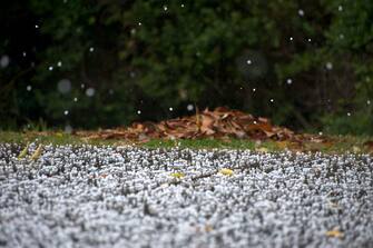 Hail marbles on a wooden deck, an Israeli winter.