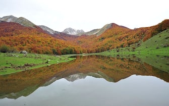 Parchi nazionali italia