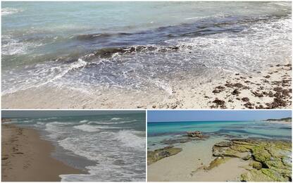 Mare, in Puglia le acque di balneazione più pulite. LA CLASSIFICA