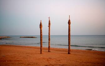 palms on the beach, marina di ragusa, sicily, italy