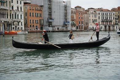 Venezia, la denuncia di una donna: "Morsa da un pesce al Lido"