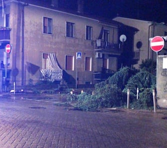 Strade allagate e alberi caduti vicino alla scuola Manzoni , Verona 7 giugno 2020. 
Ansa /Filippo Venezia