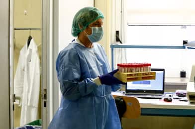 Coronavirus, uno "scudo genetico" potrebbe aver protetto il Sud Italia
