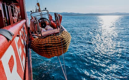 Migranti: Razza, in meno di 36 ore tamponi sui 180 della Ocean Viking