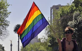 A youngster waves a rainbow flag during a rally celebrating the validity of the new law on homosexual marriage --the first of its kind in Latin America which also considers the possibility of adoption, on March 14, 2010 in Mexico City. AFP PHOTO/Alfredo Estrella (Photo credit should read ALFREDO ESTRELLA/AFP via Getty Images)