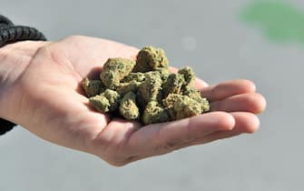 A woman holds a handful of marijuana flower buds, in Vancouver, Canada, on October, 17, 2018. - Nearly a century of marijuana prohibition came to an end Wednesday as Canada became the first major Western nation to legalize and regulate its sale and recreational use. Scores of customers braved the cold for hours outside Tweed, a pot boutique in St John's, Newfoundland that opened briefly at midnight, to buy their first grams of legal cannabis.In total, Statistics Canada says 5.4 million Canadians will buy cannabis from legal dispensaries in 2018 -- about 15 percent of the population. Around 4.9 million already smoke. (Photo by Don MacKinnon / AFP)        (Photo credit should read DON MACKINNON/AFP via Getty Images)