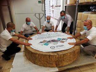 Il formaggio pecorino più grande del mondo è sardo