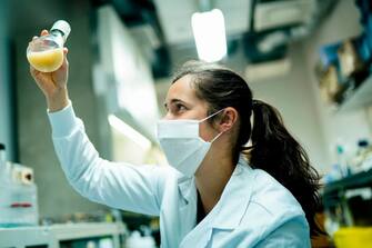 Dorien De Vlieger, doctoral researcher, examines laboratory test tube that she use for her research on llama antibodies, hoping to find a treatment against COVID-19, the novel coronavirus at the Vlaams Institute of Biotechnology of Ghent University on May 08, 2020 in Ghent. (Photo by Kenzo TRIBOUILLARD / AFP) (Photo by KENZO TRIBOUILLARD/AFP via Getty Images)