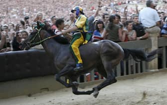 Giuseppe Zedde, a jockey from the district of Caterpillar, on the horse Elisir Loguduro, wins the horse race, the Palio of Siena, held to celebrate the apparition of the Assunta virgin, on August 16, 2008 in Siena. AFP PHOTO / NICO CASAMASSIMA. (Photo credit should read NICO CASAMASSIMA/AFP via Getty Images)