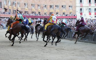 SIENA, ITALY - AUGUST 16: (RESTRICTED TO EDITORIAL USE - NO MARKETING, NO ADVERTISING CAMPAIGNS) Competitors race riding bareback during the annual Palio dell'Assunta horse-race at the Piazza del Campo Square on August 16, 2013 in Siena, Italy. The Palio races in Siena, in which riders representing city districts compete, and takes place twice a year in the summer in a tradition that dates back to 1656. (Photo by Chris Jablinski/Getty Images)