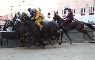 SIENA, ITALY - AUGUST 16: Competitors start off across the Piazza del Campo square during the annual Palio dell'Assunta horse-race on August 16, 2013 in Siena, Italy. The Palio races in Siena, in which riders representing city districts compete,and takes place twice a year in the summer in a tradition that dates back to 1656.