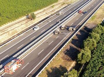 Bologna, scontro auto-capriolo in autostrada A14: morta la conducente