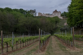 TREVISO, ITALY - APRIL 20: View of the abbey of Sant'Eustachio with the vineyards of the agricultural company Giusti Wine on April 20, 2020 in Treviso, Italy. The Italian government continues to enforce the nationwide lockdown measures to control the spread of COVID-19, even if some businesses categories are slowly reopening. (Photo by Stefano Mazzola/Awakening/Getty Images)