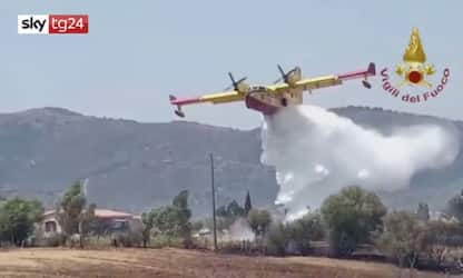 Sardegna, incendio a Posada: a fuoco 20 ettari di terreno