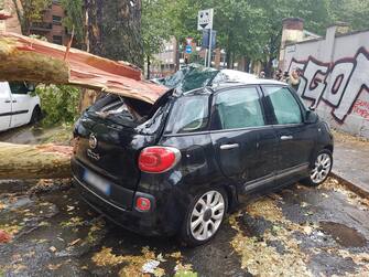Un albero caduto sopra una macchina in Corso Regina Margherita angolo largo Rosario Berardi a Torino durante il nubifragio. La pioggia è stata accompagnata da forti raffiche di vento.   ANSA/STEFANO BARBERO