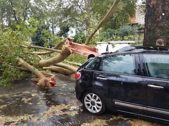 Un albero caduto sopra una macchina in Corso Regina Margherita angolo largo Rosario Berardi a Torino durante il nubifragio. La pioggia è stata accompagnata da forti raffiche di vento.   ANSA/STEFANO BARBERO