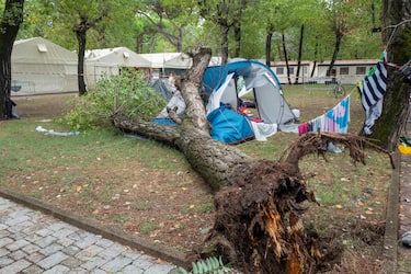 Carabinieri e soccorritori sul posto dove un albero è caduto su  una tenda nel campeggio Verde Mare in località Partaccia a Marina di Massa, 30 agosto 2020.
ANSA/Riccardo Dalle Luche