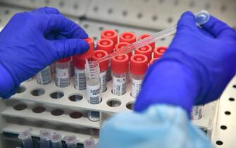 coronavirus italia focolai