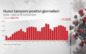 grafiche coronavirus