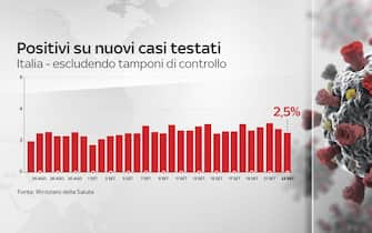 coronavirus grafiche dati contagi