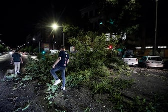 Un albero crollato in via Taranto a Roma per il maltempo, Roma, 23 settembre 2020. ANSA/ANGELO CARCONI