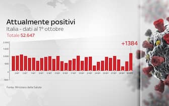 grafiche coronavirus