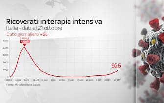 Grafiche coronavirus