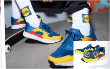 collage_sneakers_lidl