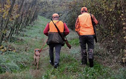 Peste suina, ordinanza: divieto di caccia tra Piemonte e Liguria