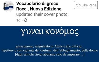 Pagina Facebook Rocci scherza su "gineconomo": polemica sui social
