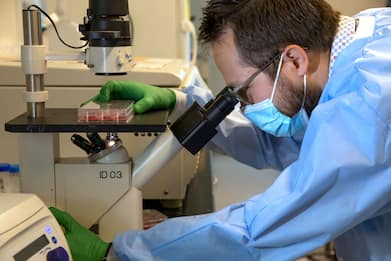 Melanoma, con l’immunoterapia scende del 36% il rischio di metastasi