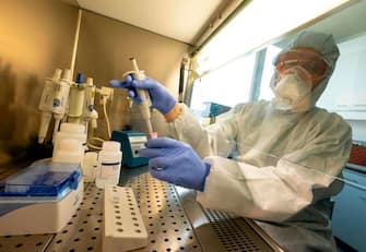 Molecular biologist William Dundon runs a test to detect whether a person has been infected with COVID-19, at the IAEA's Laboratories in Seibersdorf, Austria, on May 7, 2020. - Shortages of materials needed in tests for the novel coronavirus continue to be "critical", according to the head of a UN lab, which is supplying countries with COVID-19 detection tests. (Photo by JOE KLAMAR / AFP) / The erroneous mention[s] appearing in the metadata of this photo by JOE KLAMAR has been modified in AFP systems in the following manner: [Molecular biologist William Dundon] instead of [Giovanni Cattoli, head of the joint FAO/IAEA Animal Production and Health Laboratory]. Please immediately remove the erroneous mention[s] from all your online services and delete it (them) from your servers. If you have been authorized by AFP to distribute it (them) to third parties, please ensure that the same actions are carried out by them. Failure to promptly comply with these instructions will entail liability on your part for any continued or post notification usage. Therefore we thank you very much for all your attention and prompt action. We are sorry for the inconvenience this notification may cause and remain at your disposal for any further information you may require. (Photo by JOE KLAMAR/AFP via Getty Images)