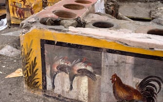 A Parco Archeologico picture made available 26 December 2020 shows adetail of the almost intact environment of a Thermopolium in Pompeii, Italy.Two ducks hanging by the feet, a rooster, a dog on a leash, which look like they are painted in 3D. The almost intact environment of a Thermopolium, a street food shop, with dishes of all kinds, from snails to a sort of "paella", returns to light in Pompeii. A discovery, anticipates the director Osanna to ANSA, who "returns an incredible photograph of the day of the eruption", and opens up new studies on the life, uses and nutrition of the Pompeians, "It will be an Easter gift for visitors", announces.
ANSA/PARCO ARCHEOLOGICO DI POMPEI  EDITORIAL USE ONLY NO SALES