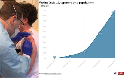 Vaccino anti-Covid, calendario e obiettivi: il piano del ministero