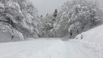 Maltempo Veneto Neve 