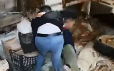 Crotone, pugile 16enne picchia coetaneo. Il video postato su Telegram
