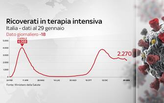 Grafiche coronavirus