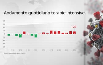 covid grafiche dati ricoveri terapie intensive