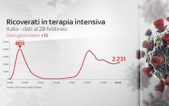 Grafiche coronavirus