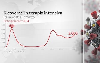 Grafiche coronavirus Italia