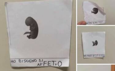 Piacenza, insulti a scuola per una studentessa dopo l'aborto