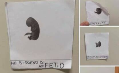 Piacenza, insulti a scuola per una studentessa dopo l'aborto