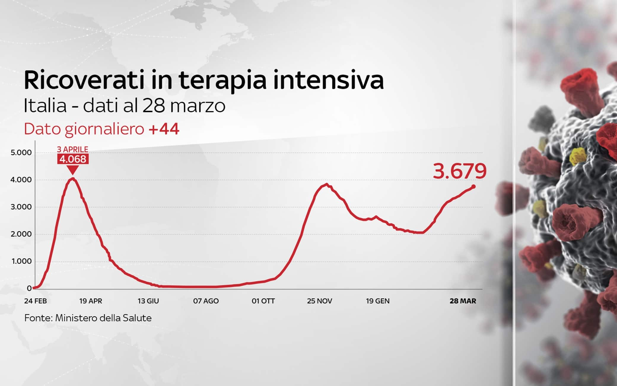 Grafiche coronavirus