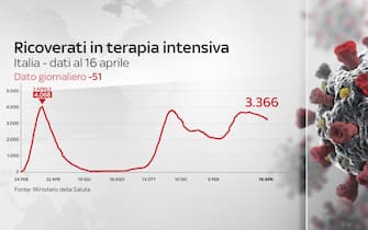 covid grafiche dati contagi terapie intensive ricoveri