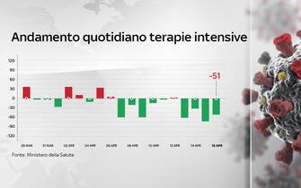 covid grafiche dati contagi terapie intensive ricoveri